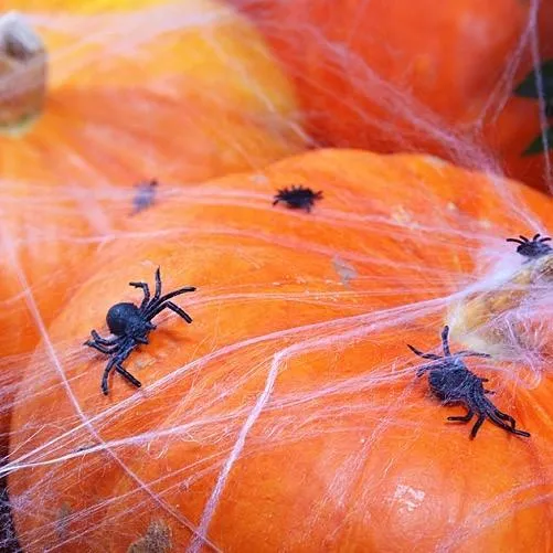 Tischdeko Spinnen Halloween (10 Stück)