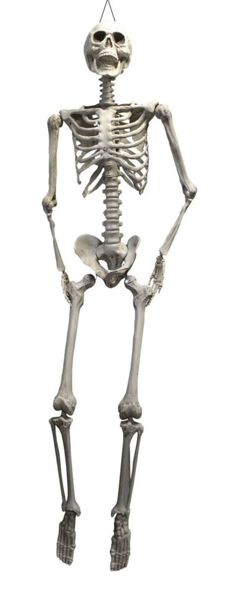 XXL Skelett "Otto" Halloween Hängefigur - 175 cm | Lebensechte Dekoration