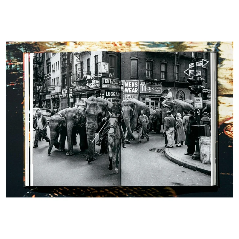 Marvin E. Newman, Monografie Collector's Edition