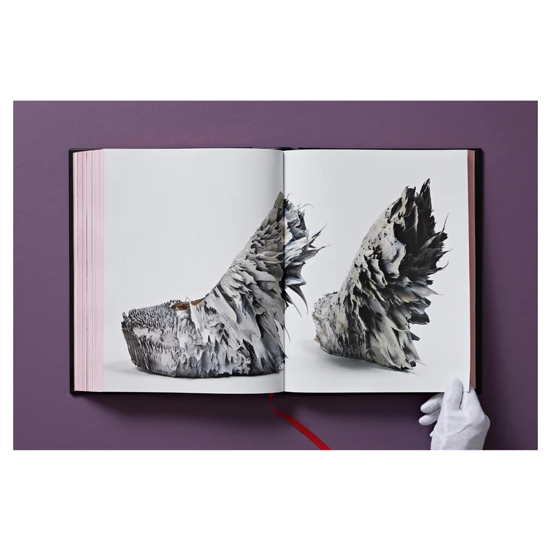 Shoes A-Z. The Collection of the Museum at FIT - Manolo Blahník Edition