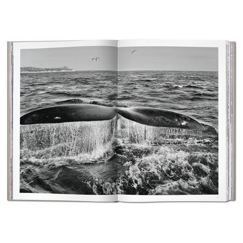 Sebastião Salgado. ´Genesis´ Limited Edition - SUMO-Bildband