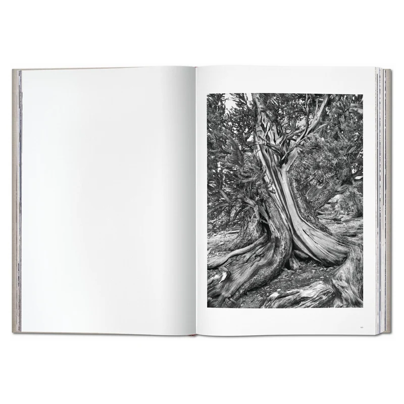 Sebastião Salgado. ´Genesis´ Limited Edition - SUMO-Bildband