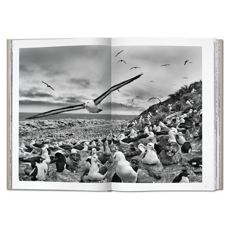 Sebastião Salgado. ´Genesis´ Limited Edition - SUMO-Bildband