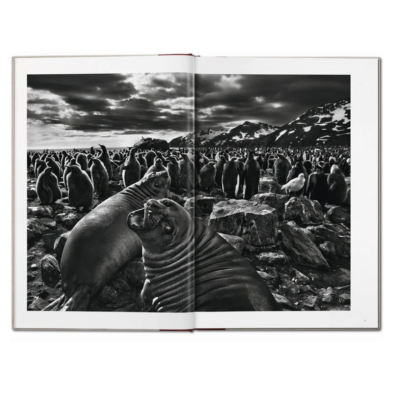 Sebastião Salgado. ´Genesis´ Limited Edition - SUMO-Bildband