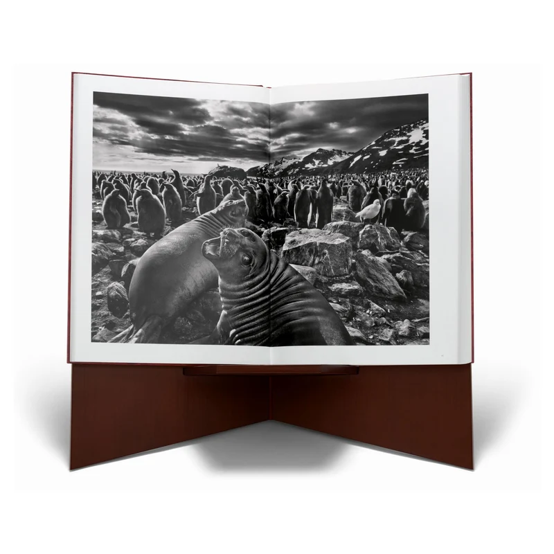 Sebastião Salgado. Genesis Art Edition No. 1–100 ‘Two Mursi Women, Omo Valley, Ethiopia’