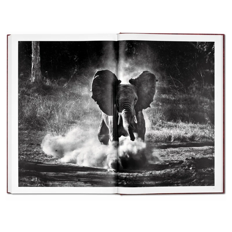 Sebastião Salgado. Genesis Art Edition No. 1–100 ‘Two Mursi Women, Omo Valley, Ethiopia’
