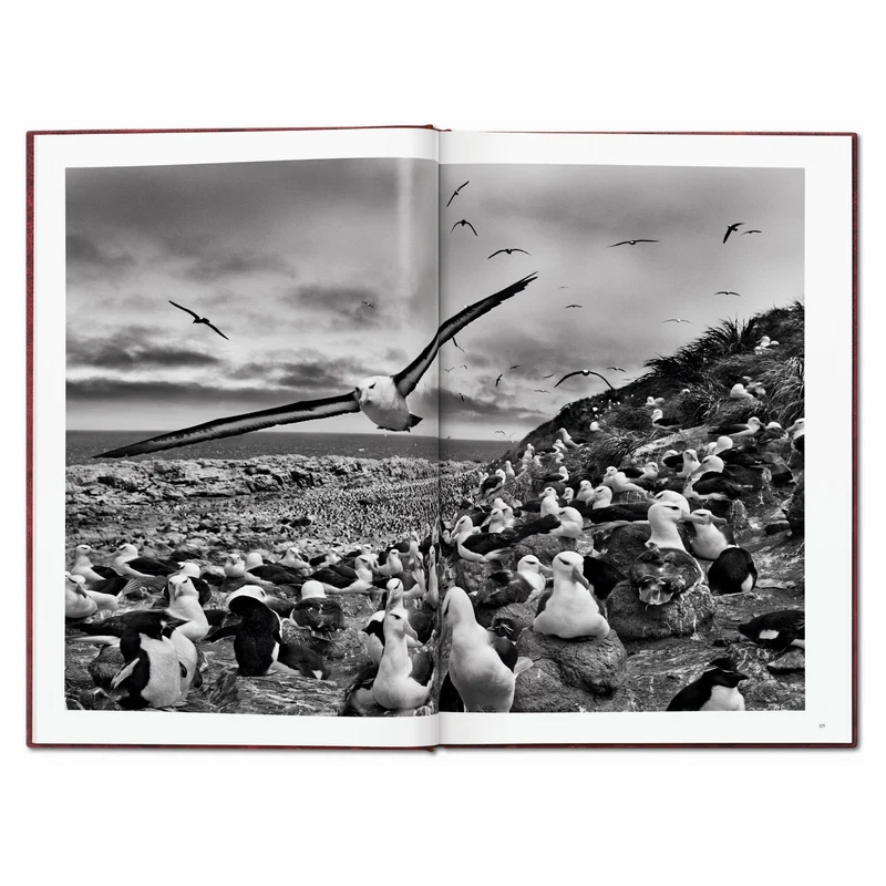 Sebastião Salgado. Genesis Art Edition No. 1–100 ‘Two Mursi Women, Omo Valley, Ethiopia’