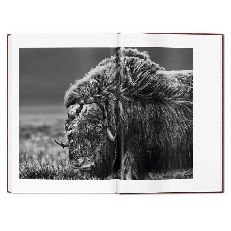 Sebastião Salgado. Genesis Art Edition No. 1–100 ‘Two Mursi Women, Omo Valley, Ethiopia’