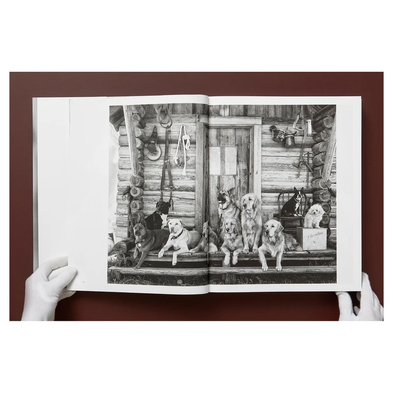 The Golden Retriever Photographic Society Art Edition No. 1–100