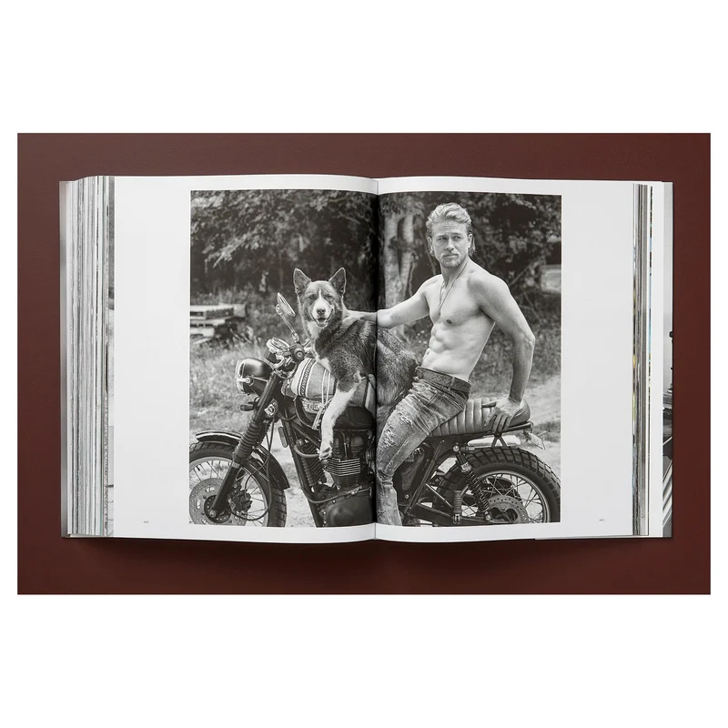 The Golden Retriever Photographic Society Art Edition No. 1–100