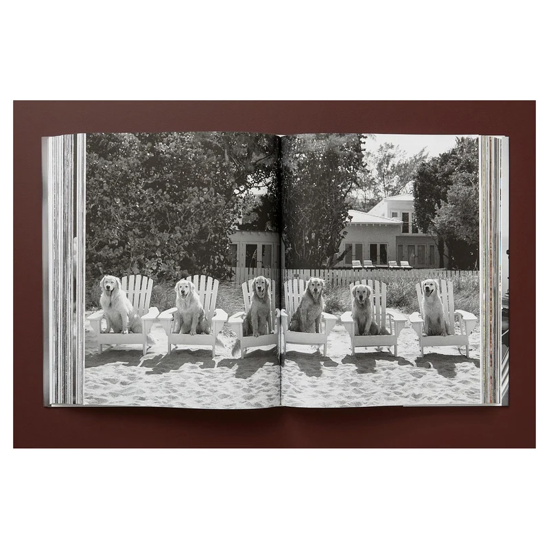 The Golden Retriever Photographic Society Art Edition No. 1–100
