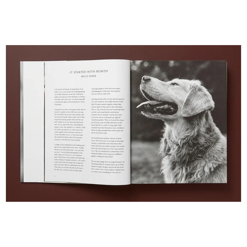 The Golden Retriever Photographic Society Art Edition No. 1–100