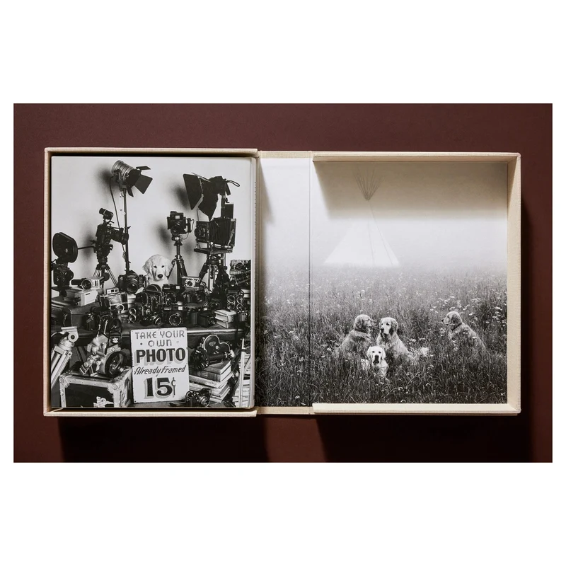 The Golden Retriever Photographic Society Art Edition No. 1–100
