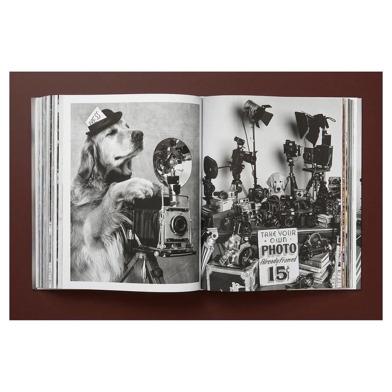 The Golden Retriever Photographic Society Art Edition No. 1–100