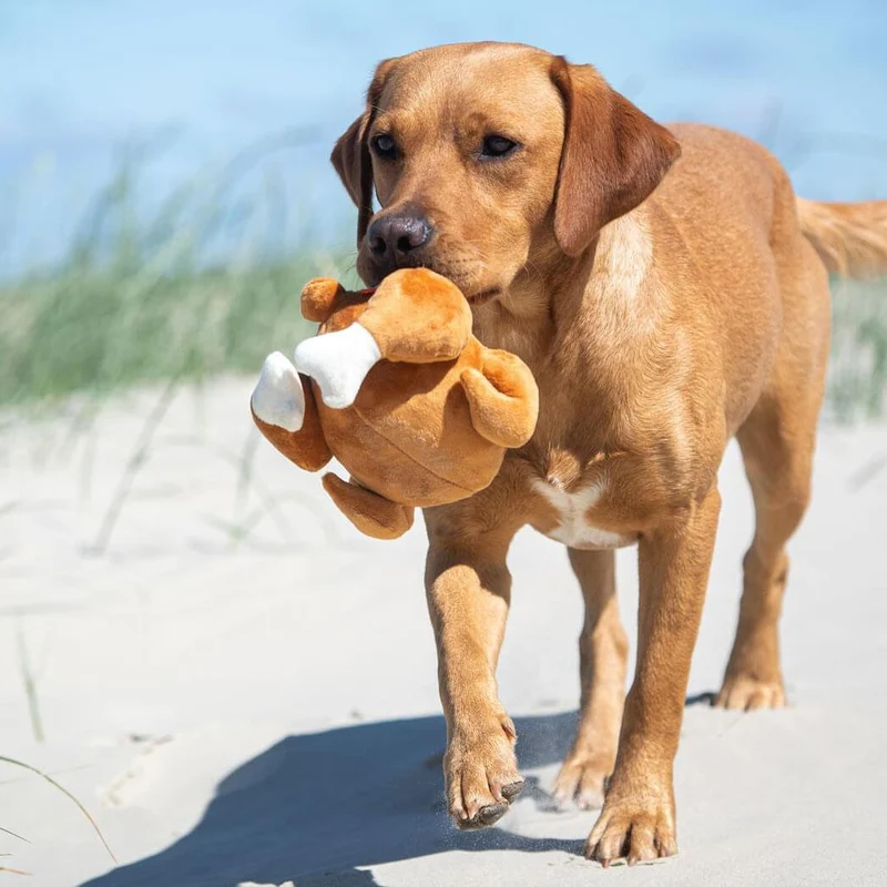 Hundespielzeug "Giggerl"