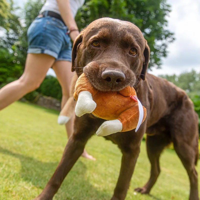Hundespielzeug "Giggerl"