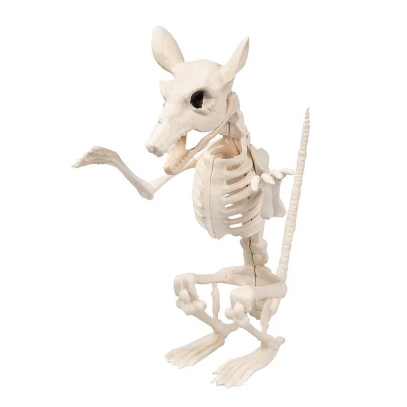 Skelett Tier Ratte "Cheddar" 18 x 15 cm | Beige