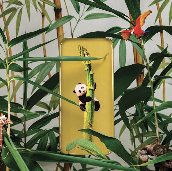Vide-Poche Rectangulaire SACHA Panda 12,5×28cm