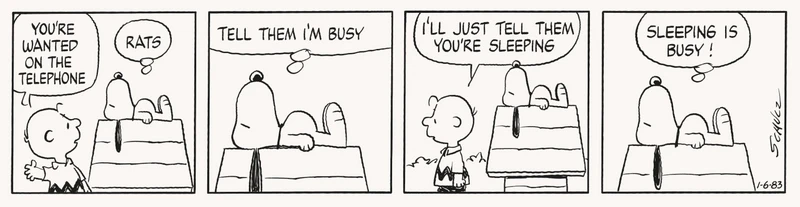 2er-Set Kissen PEANUTS mit Comic-Design