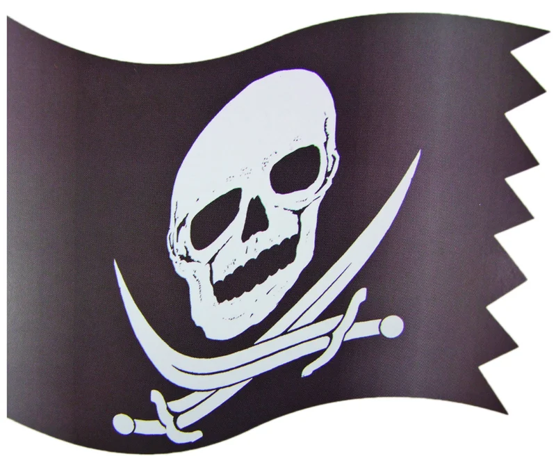 Piraten Party Flagge - Schwarz mit Totenkopf