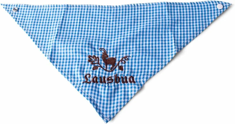 Dreieckstuch "Lausbua"