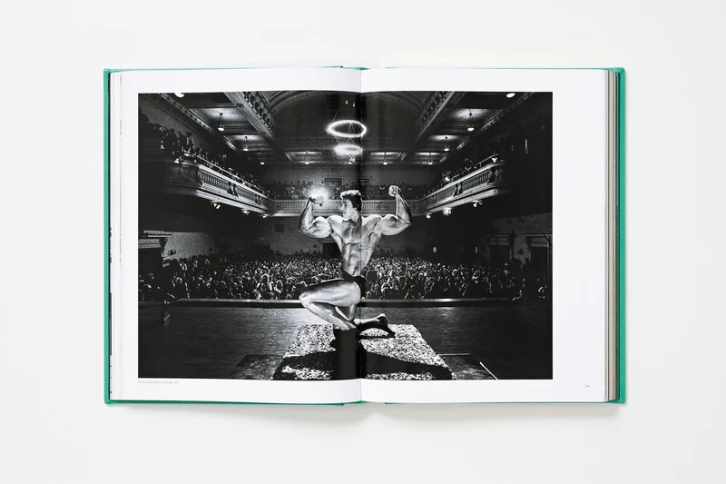ARNOLD. Capitello Edition in XXL, limitierte Auflage