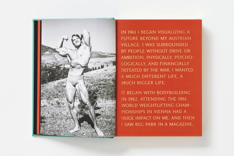 ARNOLD. Capitello Edition in XXL, limitierte Auflage