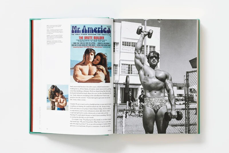 ARNOLD. Capitello Edition in XXL, limitierte Auflage