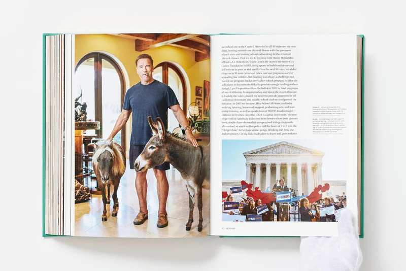 ARNOLD. Capitello Edition in XXL, limitierte Auflage