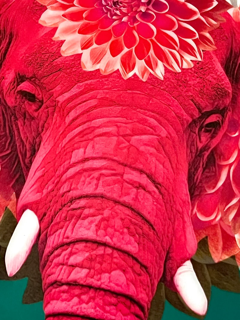 Vide-Poche Carré PACHIIII - pink Elefant