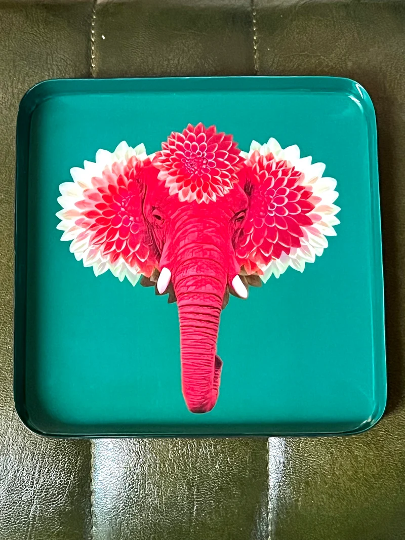 Vide-Poche Carré PACHIIII - pink Elefant