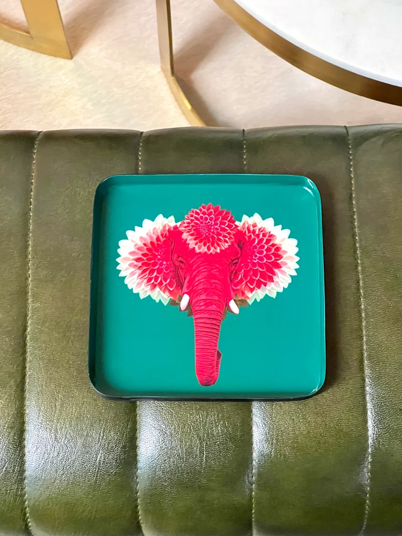 Vide-Poche Carré PACHIIII - pink Elefant