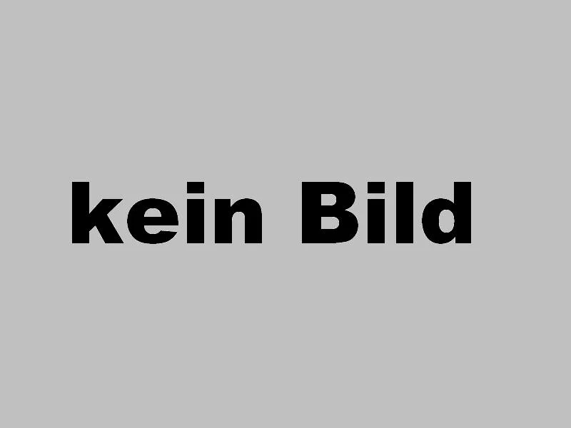 Brille Rot groß