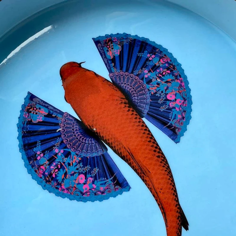 Tablett FISHKOÏ mit Fisch-Motiv Ø33cm