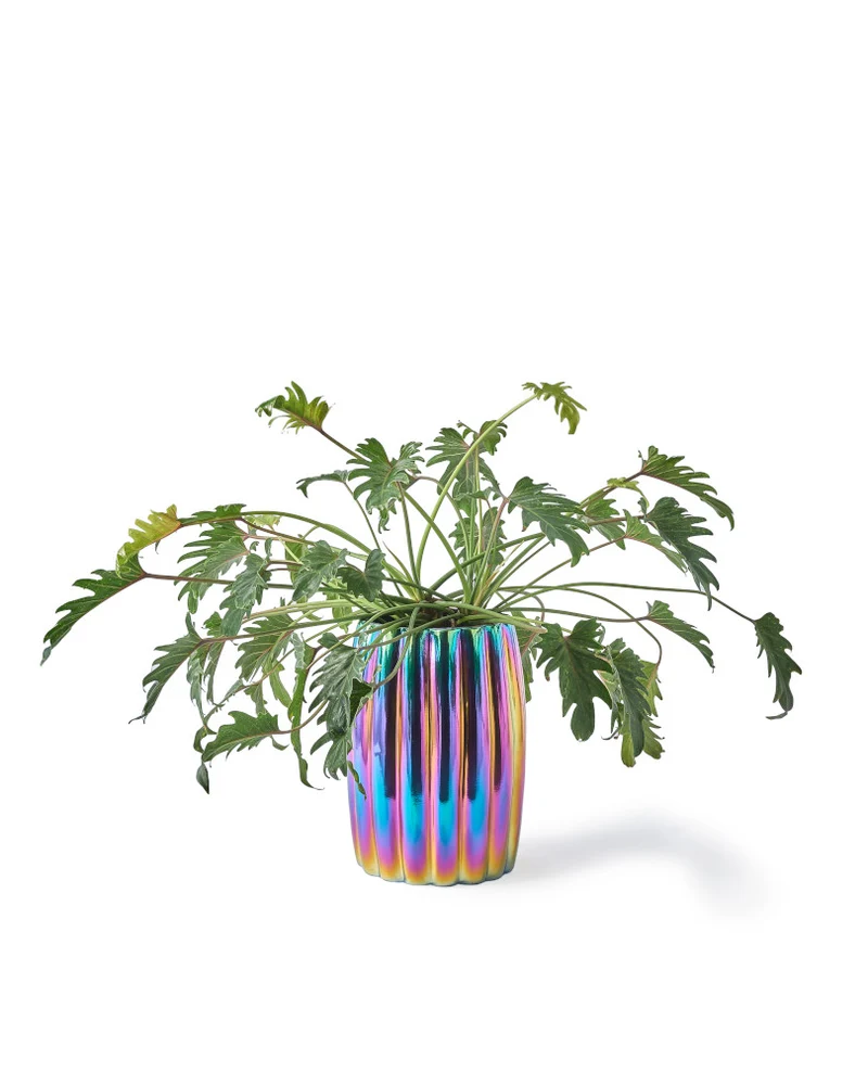 Übertopf CURVY PLANT POT Größe: Ø32,5 x 45 cm
