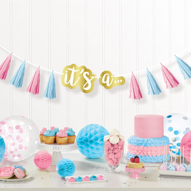 "The Big Reveal" - Quasten Girlande 240 cm Rosa Blau Dekoration für Gender Reveal