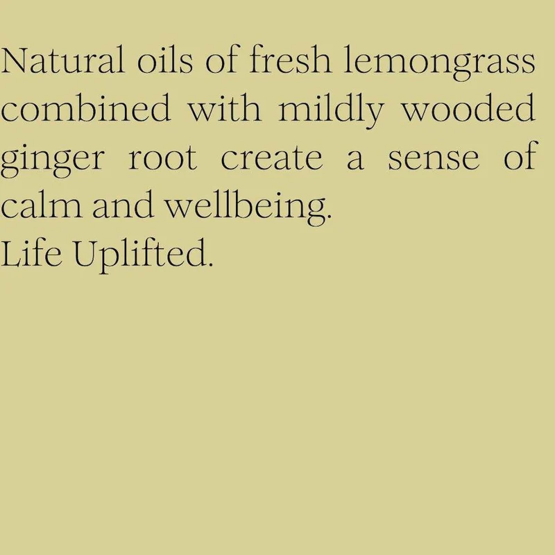 Max Benjamin Duftkerze LEMONGRASS & GINGER 210g