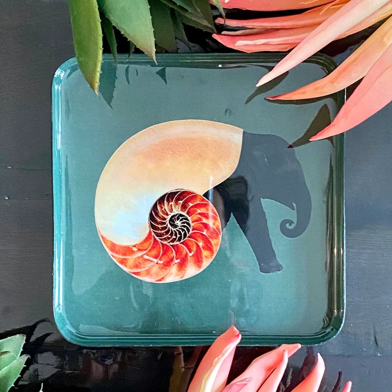 Vide-Poche 'SHELLEPHANT' Elefant-Muschel-Design 15x15cm