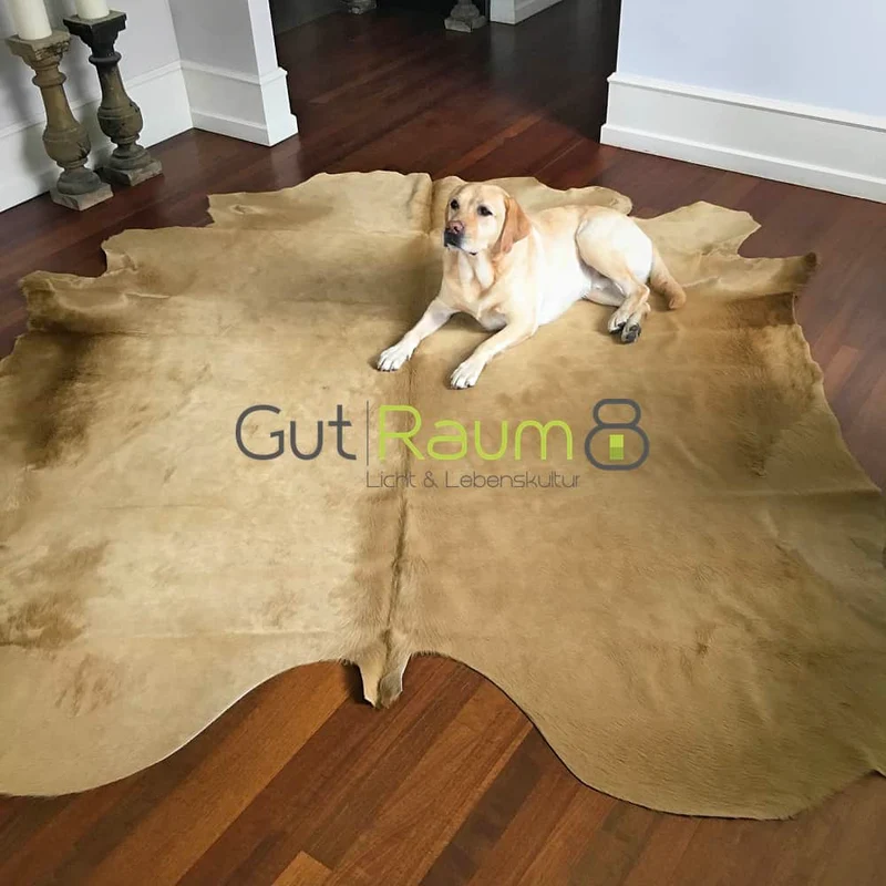 Kuhfell Teppich in Champagner Gold