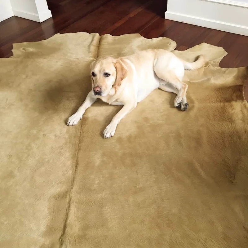 Kuhfell Teppich in Champagner Gold
