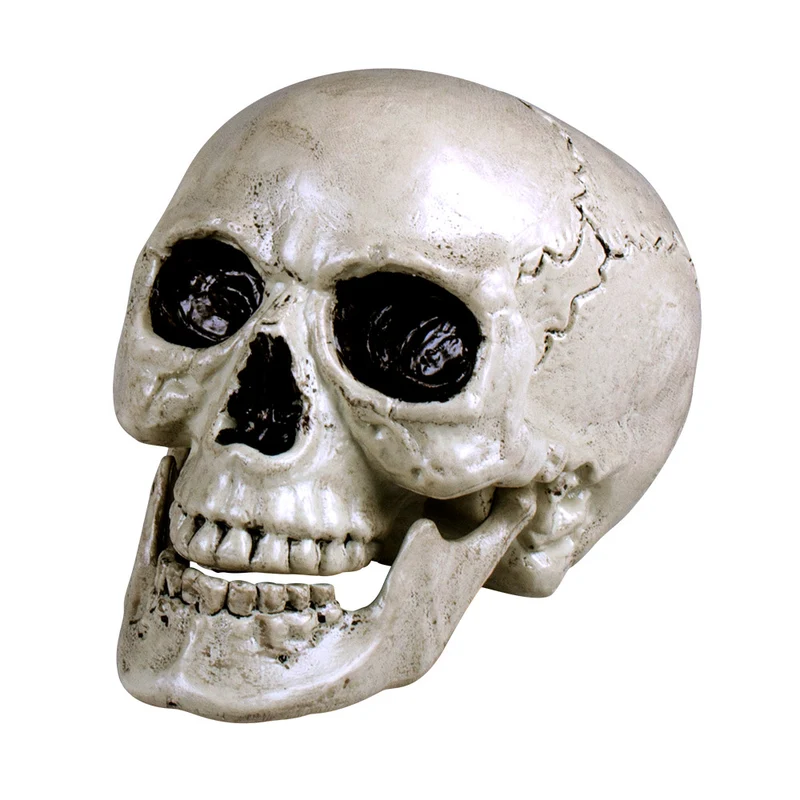 Totenkopf Schädel "Maxilla" beweglich - 17 x 17 x 24 cm | Halloween Dekoration