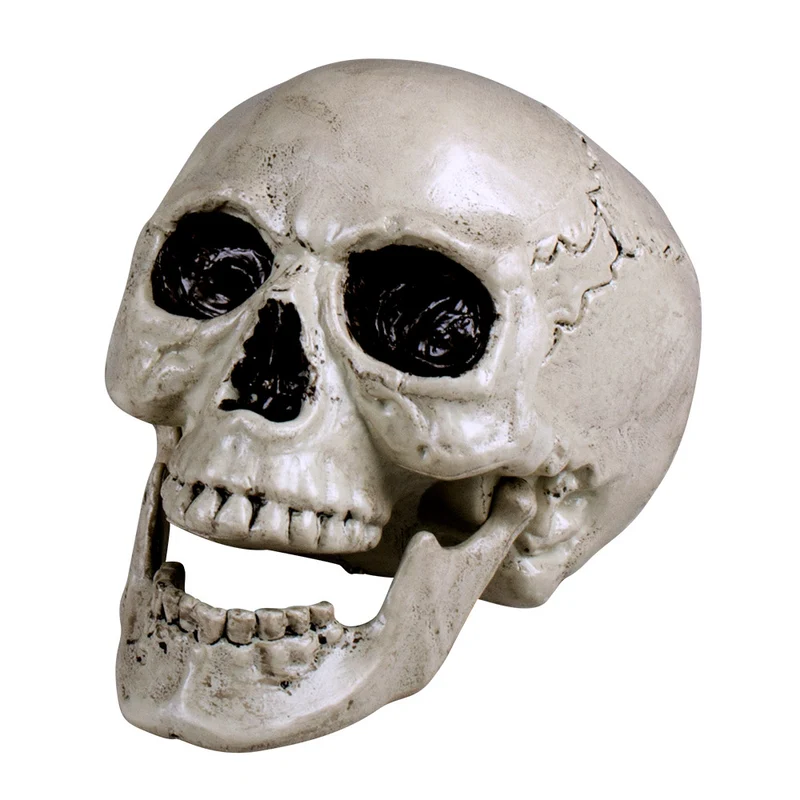 Totenkopf Schädel "Maxilla" beweglich - 17 x 17 x 24 cm | Halloween Dekoration