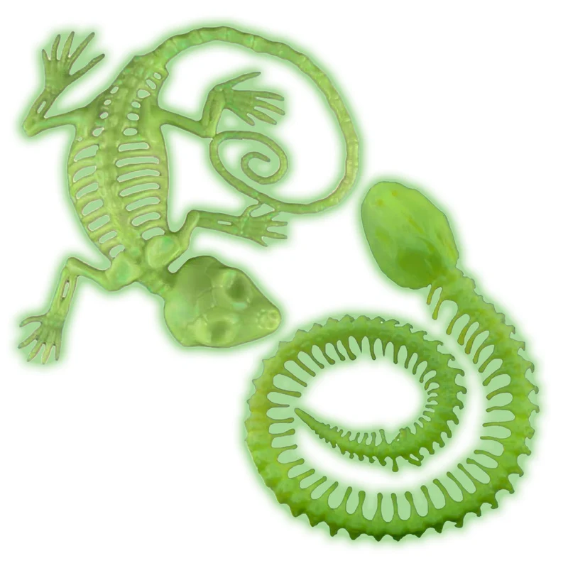 Leuchtendes Tier Skelett nach Wahl - Glow in the Dark | Grün