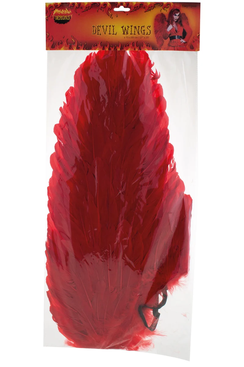 Engelsflügel 70 x 65 cm | Federn Rot