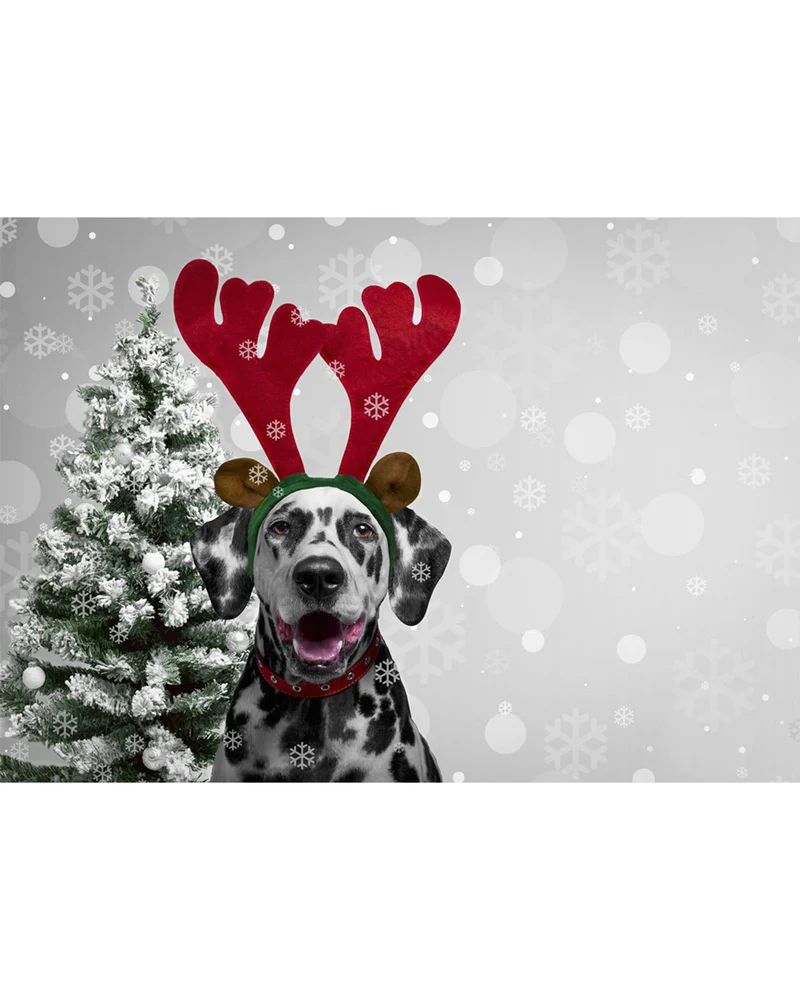 Rentier "Renda" Kostüm für Mädchen | Weihnachtskostüm