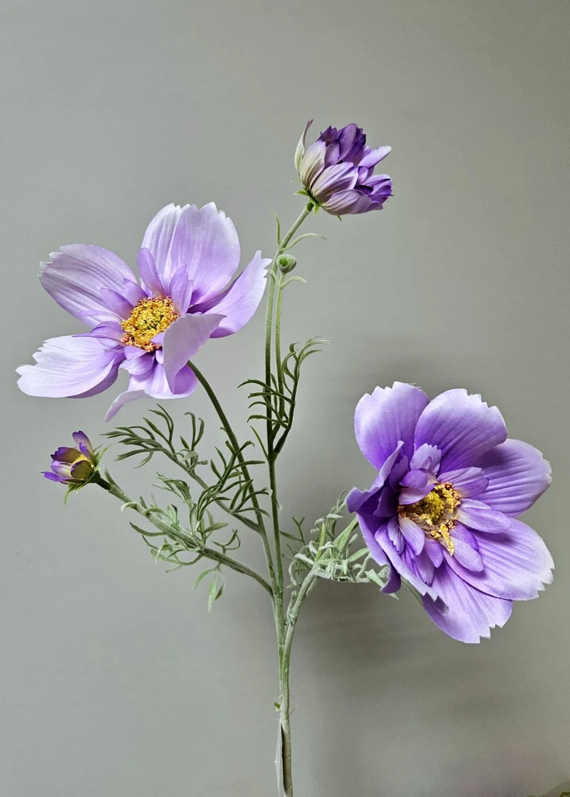 Textil Cosmea, verschiedene Farben