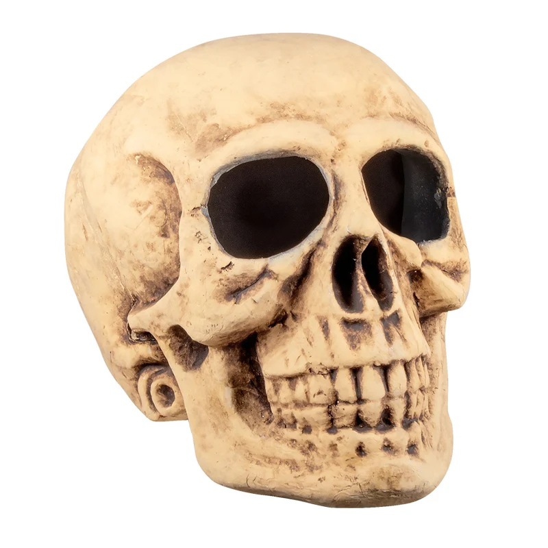 Totenkopf Master brain (40x35cm)