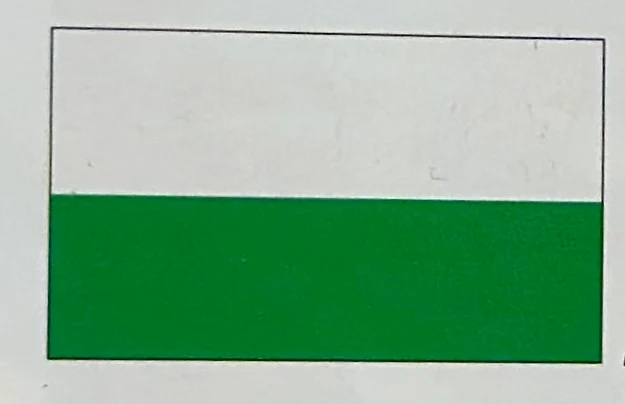 Fahnenketten aus Papier á 4 m, schwer entflammbar (Farben)