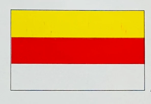 Fahnenketten aus Papier á 4 m, schwer entflammbar (Farben)