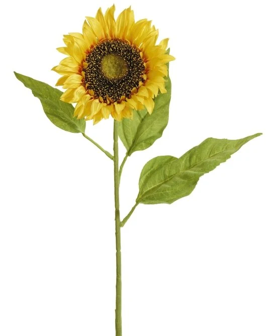 Textil Sonnenblume